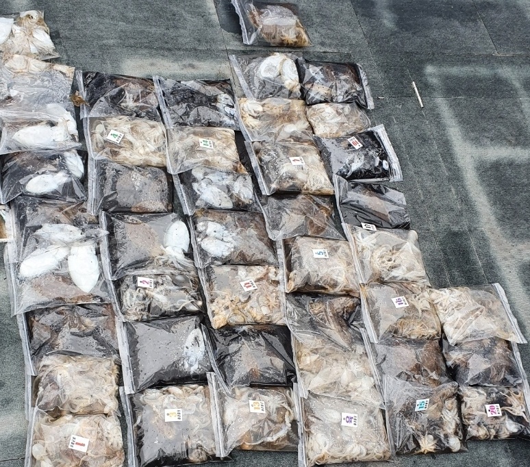 [아라호] 9월 25일 조황