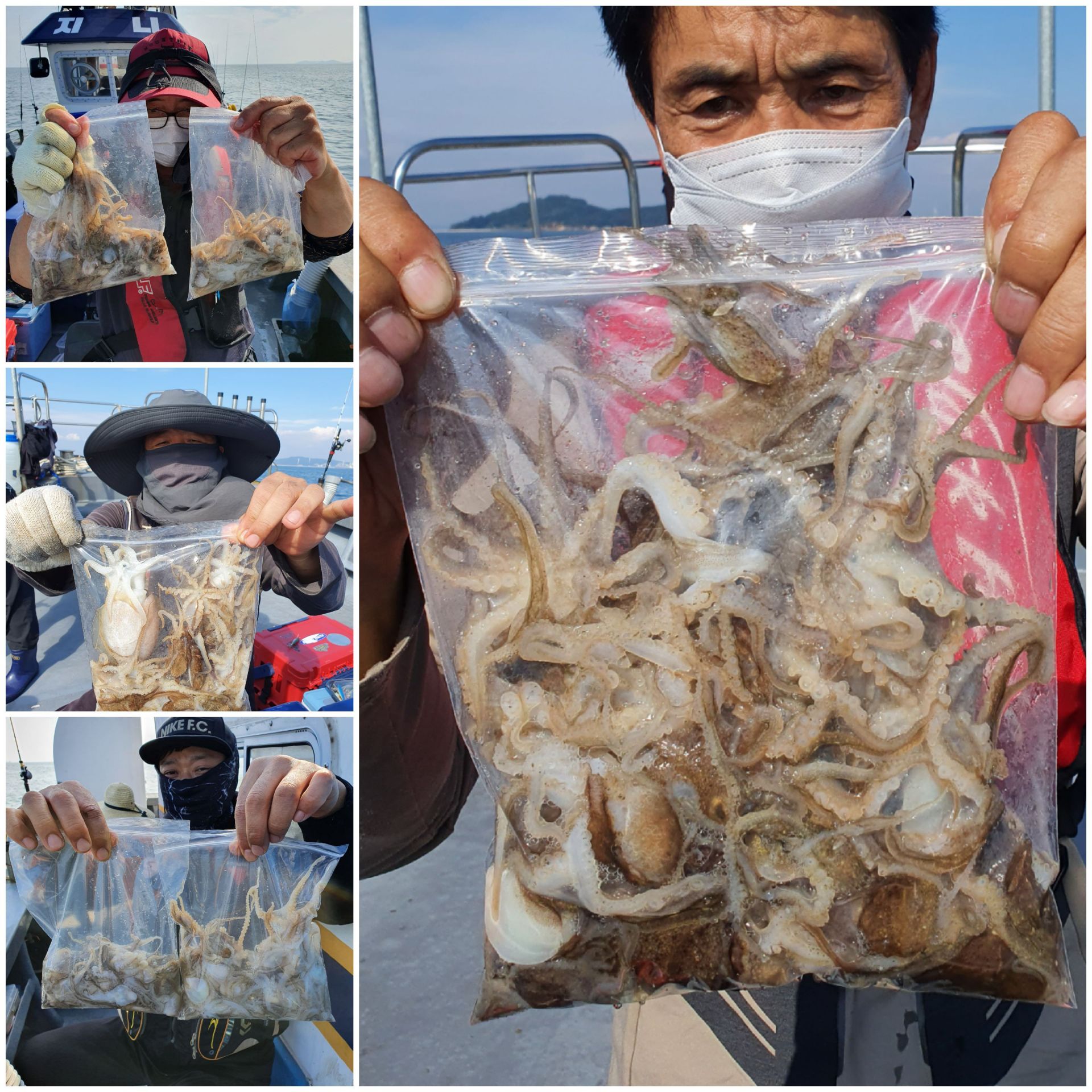 [지니호] 9월 19일 조황 (주꾸미출조)