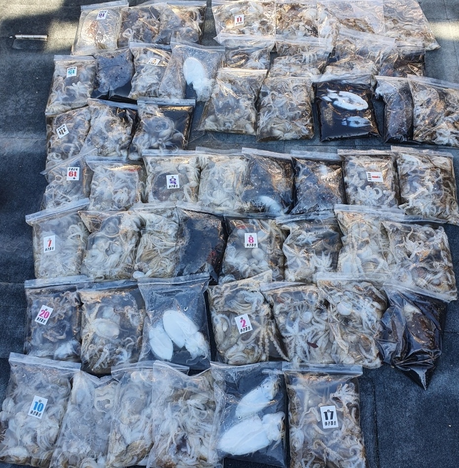 [아라호] 9월 18일 조황 (주꾸미출조)