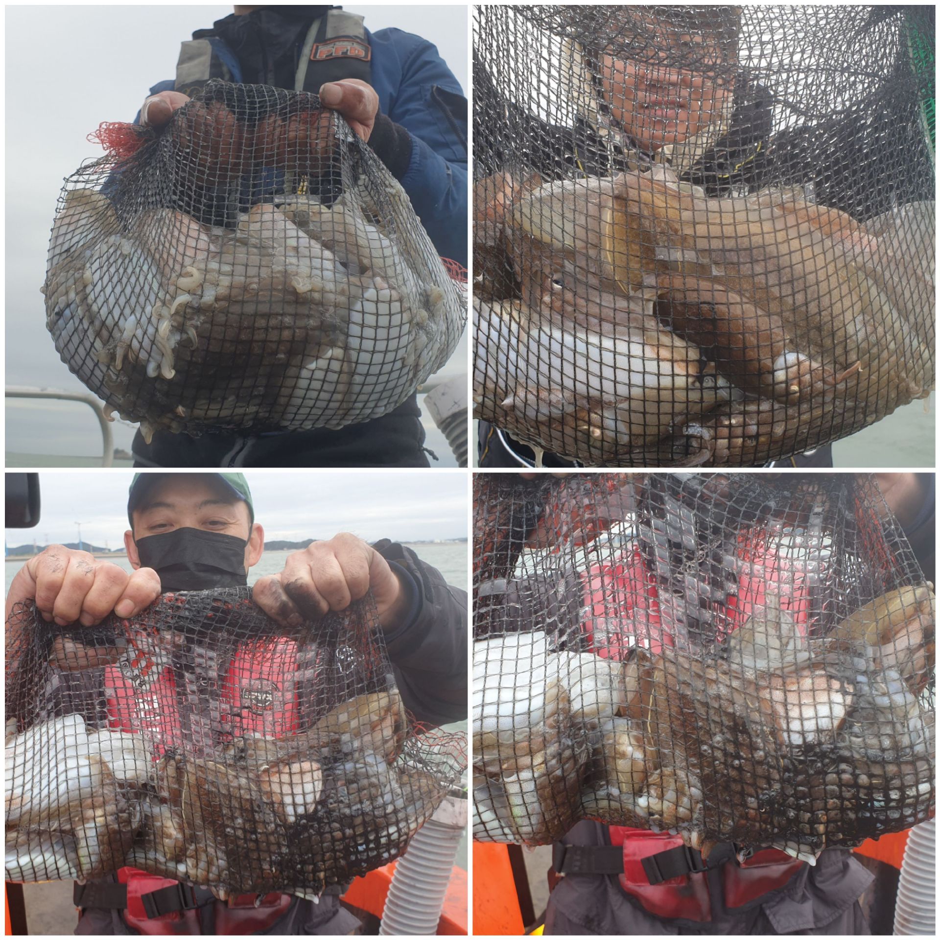 [아라2호] 10월 12일 조황 (9인 갑이출조)