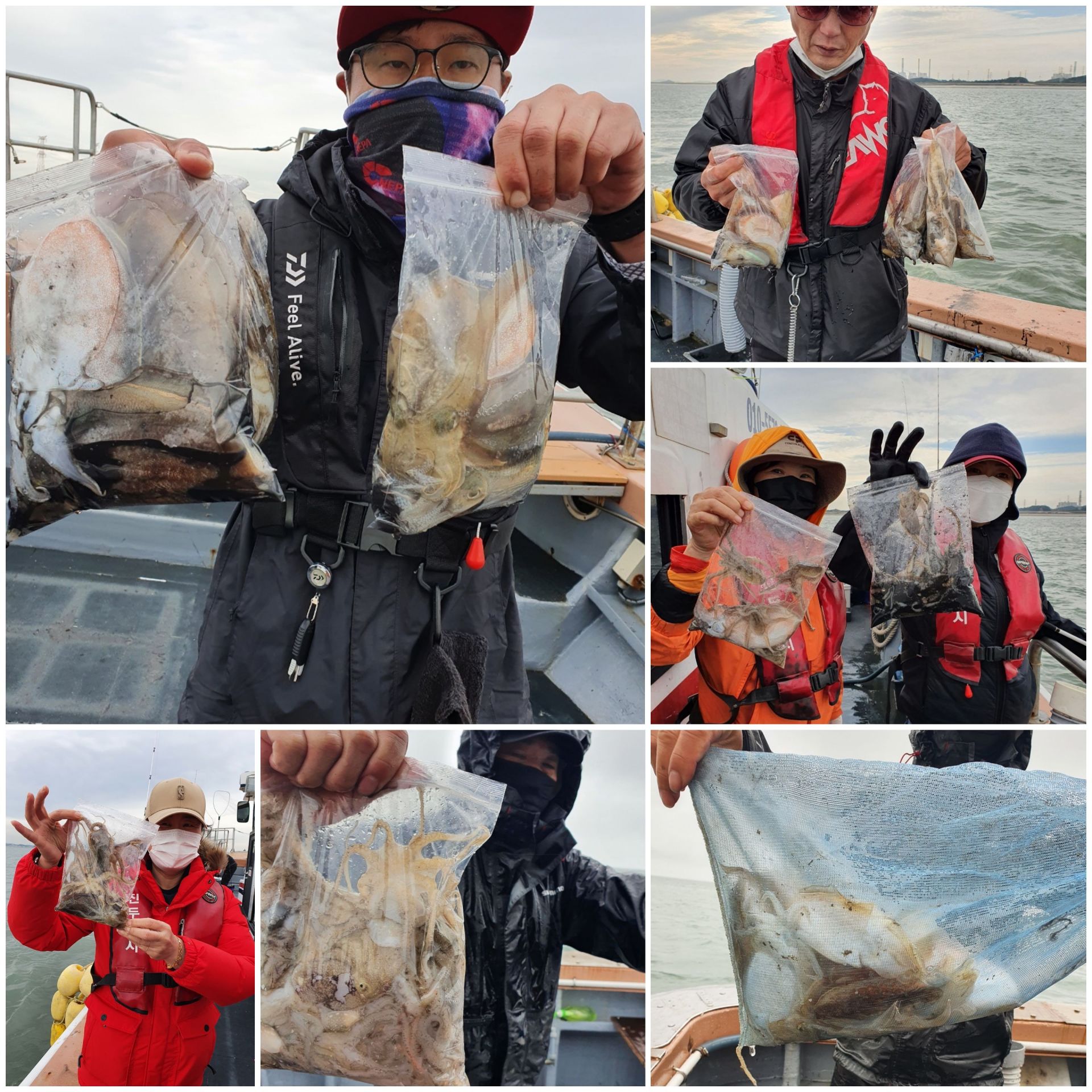 [아라호] 10월 11일 조황 (쭈갑)