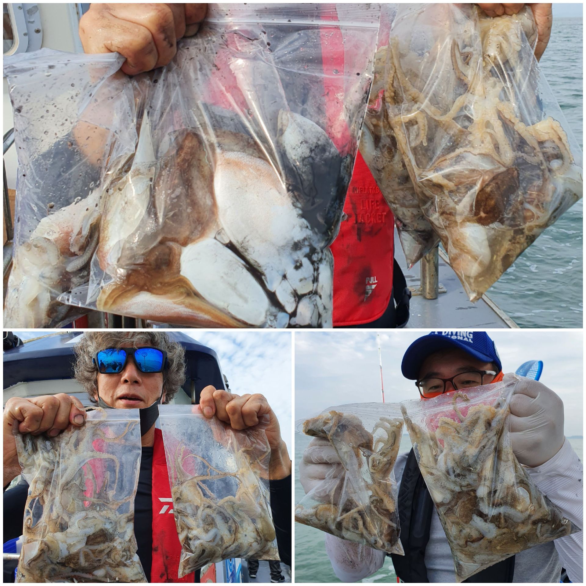 [지니호] 10월 9일 조황 (쭈갑)