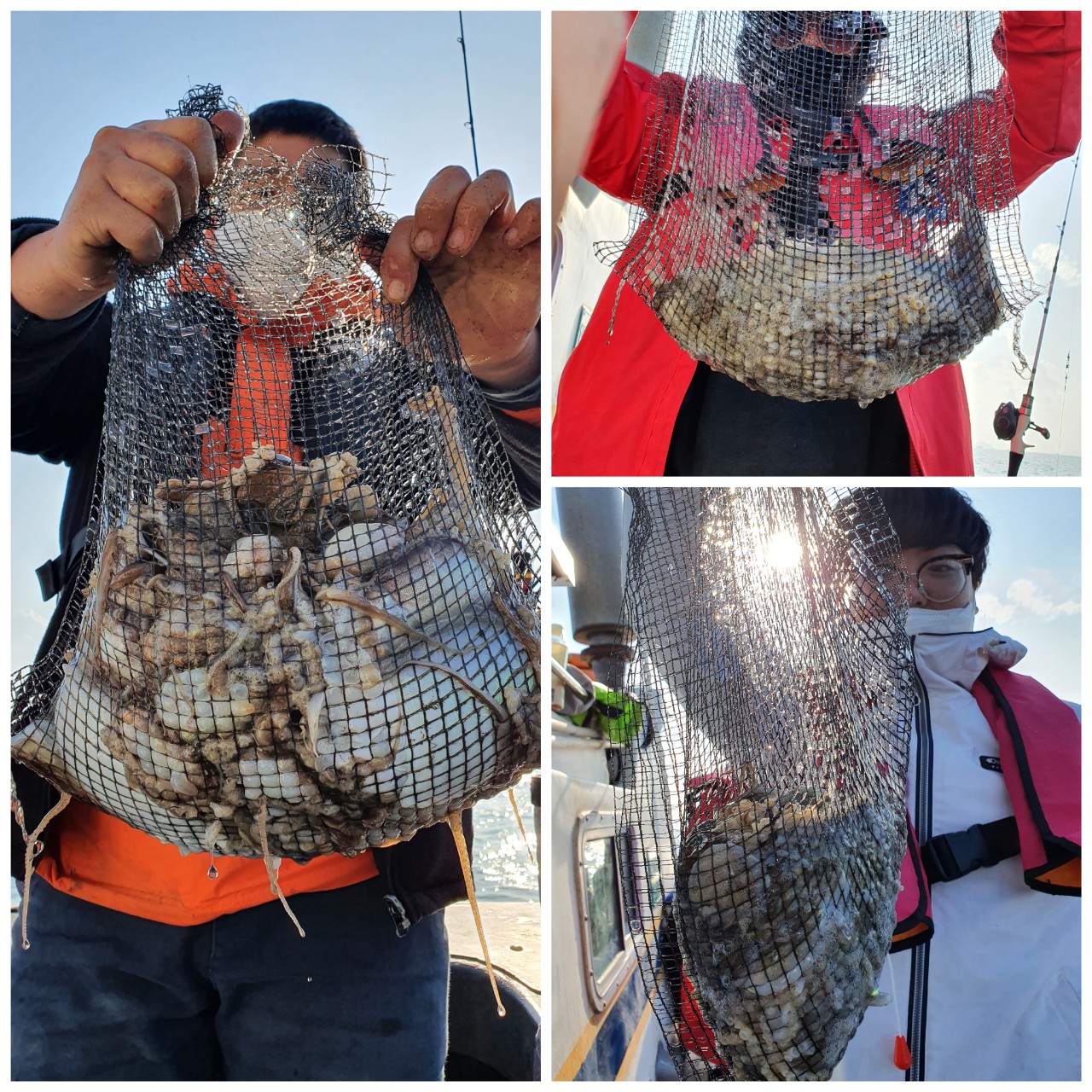 [지니호] 10월 30일 조황 (쭈갑출조)