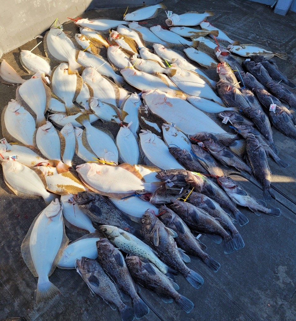 [아라2호] 11월 27일 외수질 조황