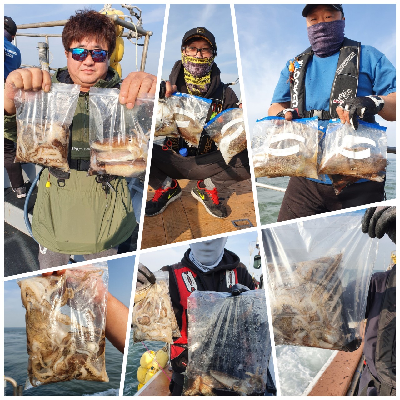 [아라호] 11월 6일 조황 (쭈갑출조)