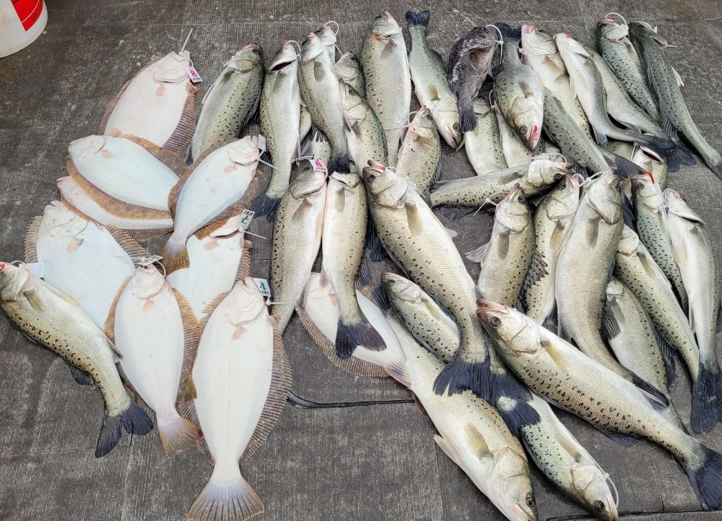 [아라2호] 11월 21일 조황 (외수질출조)