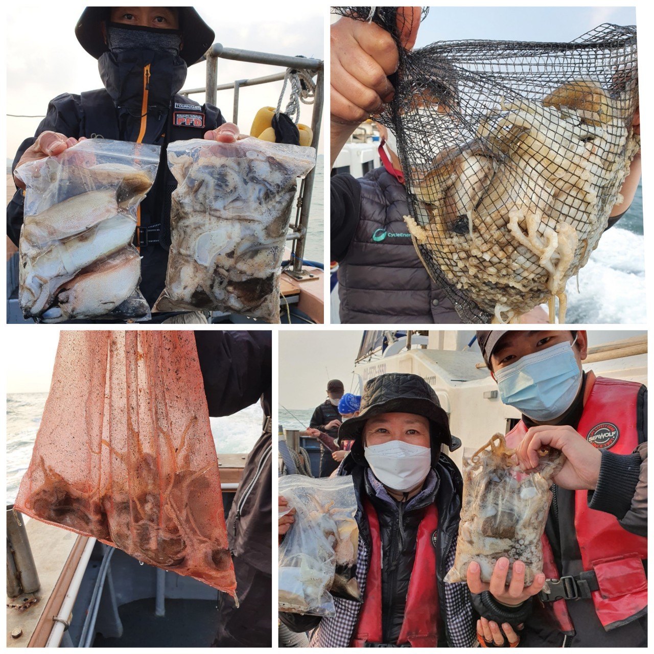 [아라호] 11월 14일 조황 (쭈갑출조)