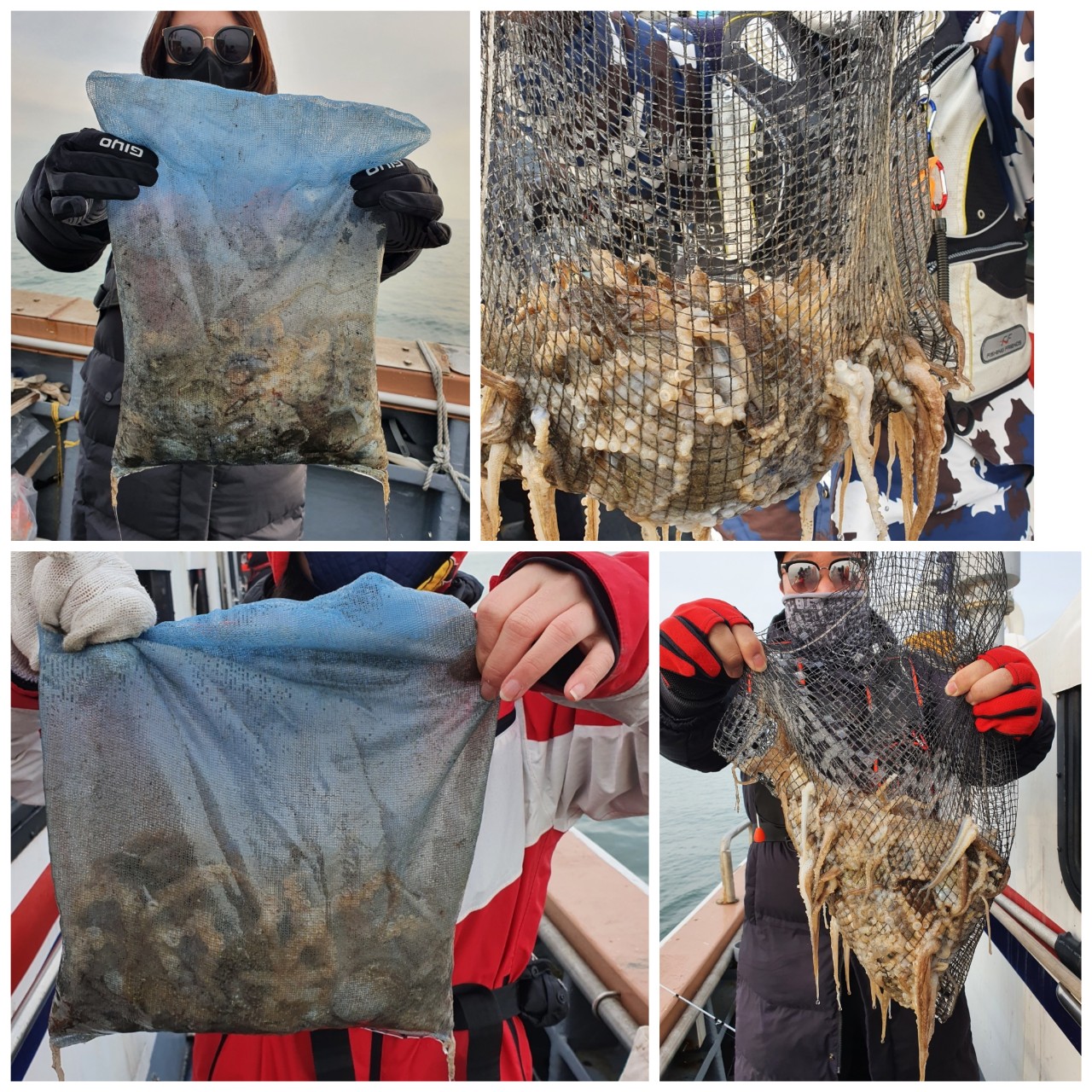 [아라호] 11월 28일 조황 (쭈갑출조)