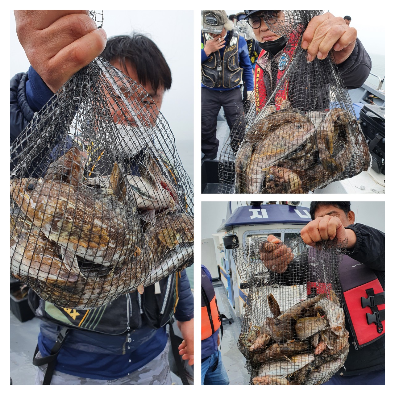 [지니호] 4월 25일 다잡아외수질독선 조황