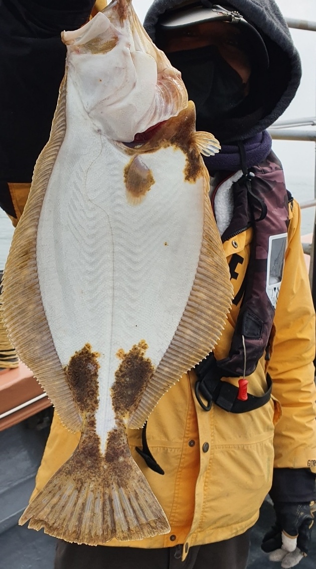 [아라호] 4월 24일 대광어탐사출조 조황