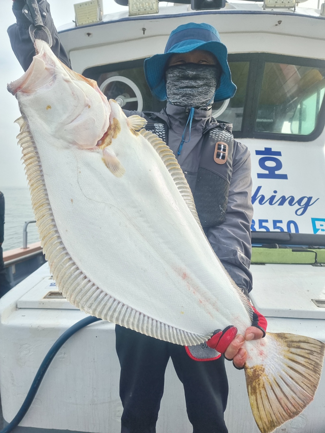 [아라호] 4월 23일 대광어탐사출조 조황