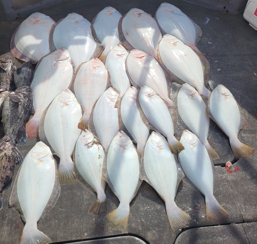 [아라2호] 5월 14일 독선출조 조황