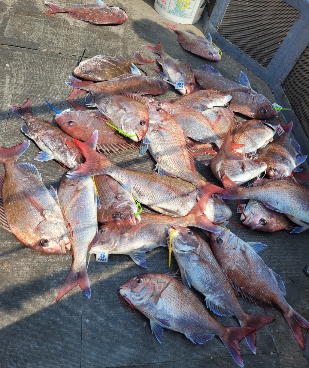 [아라2호] 5월 25일 조황