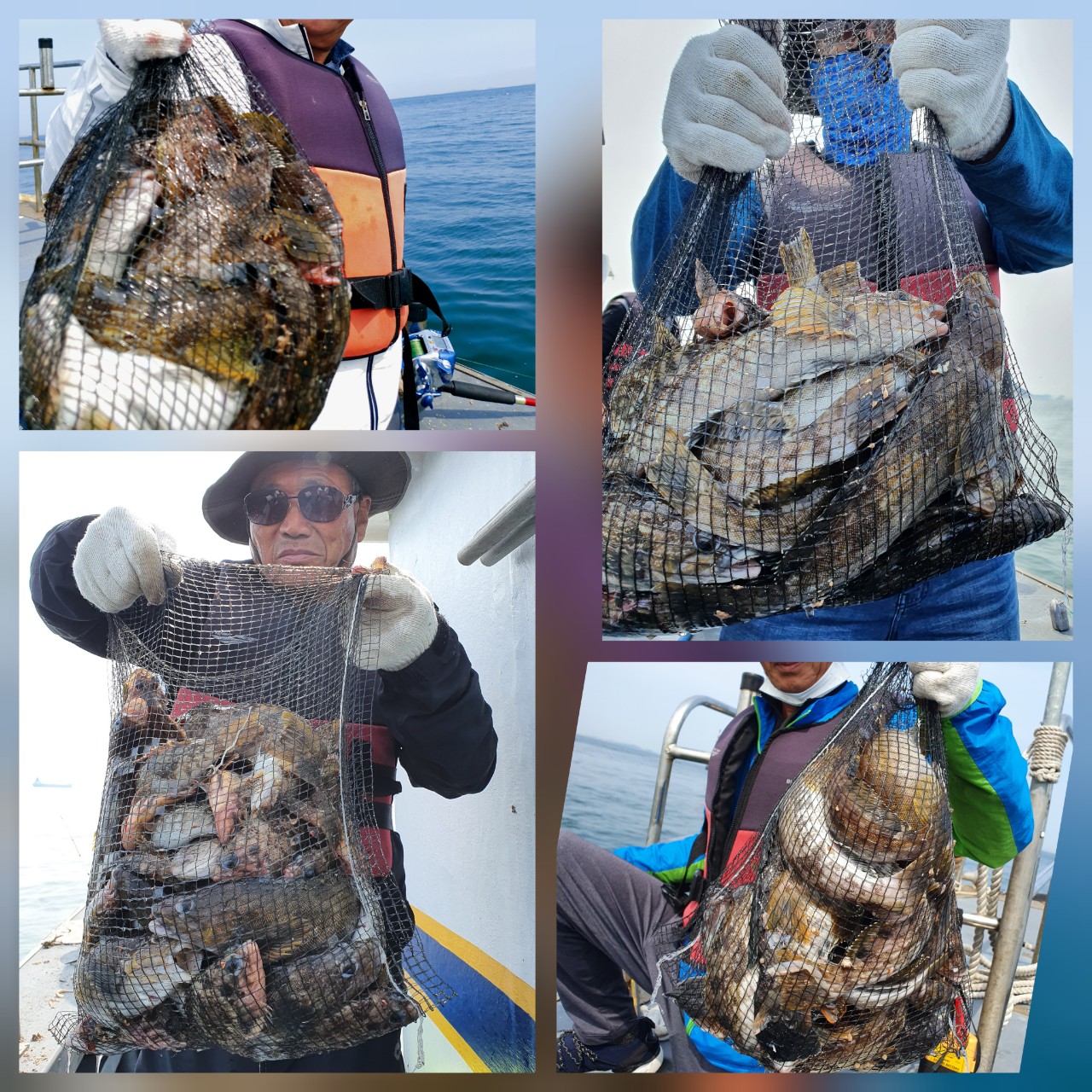 [지니호] 5월  25일 근해우럭 생미끼출조(5인)