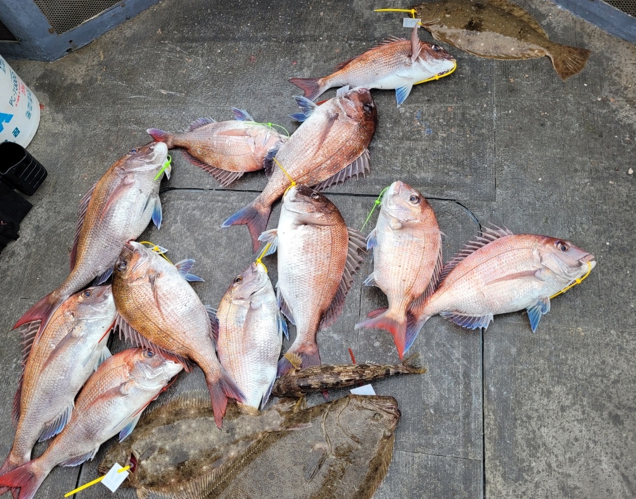 [아라2호] 5월 19일 조황