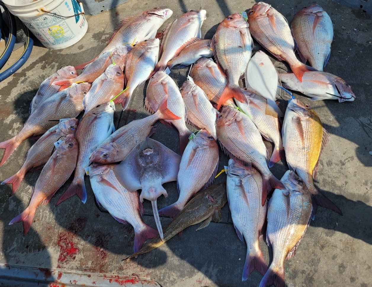 [아라2호] 5월 16일 참돔타이라바 출조(8인출조)