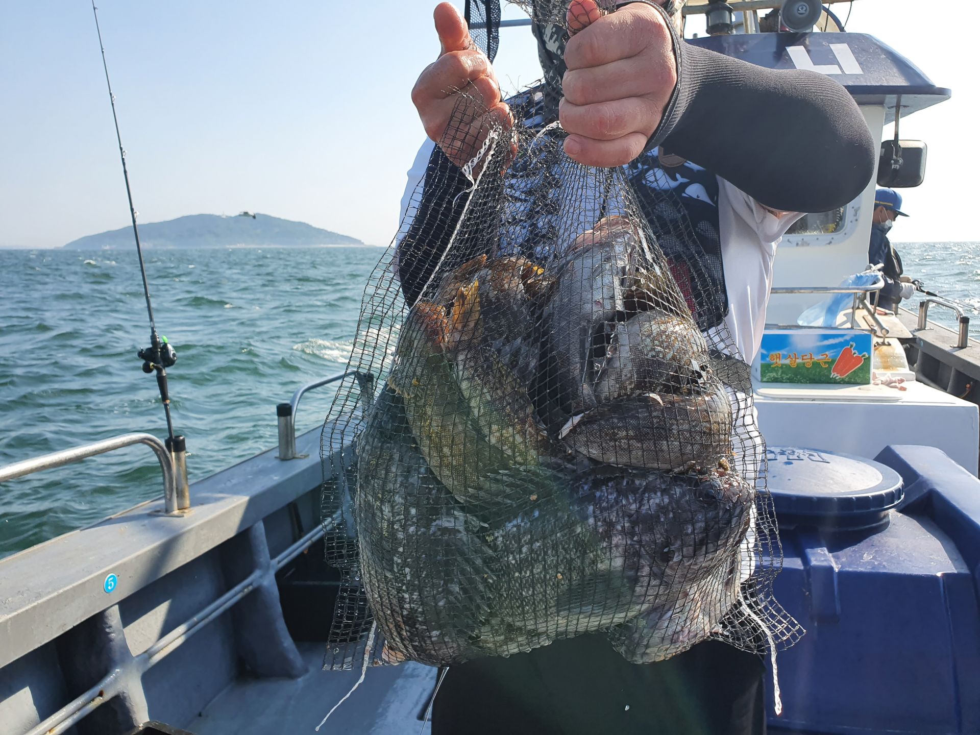 [지니호] 6월 11일  오후시간 출조 조황