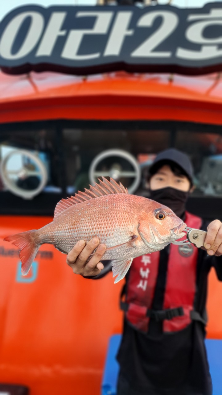 [아라2호] 8월 6일 독선조황