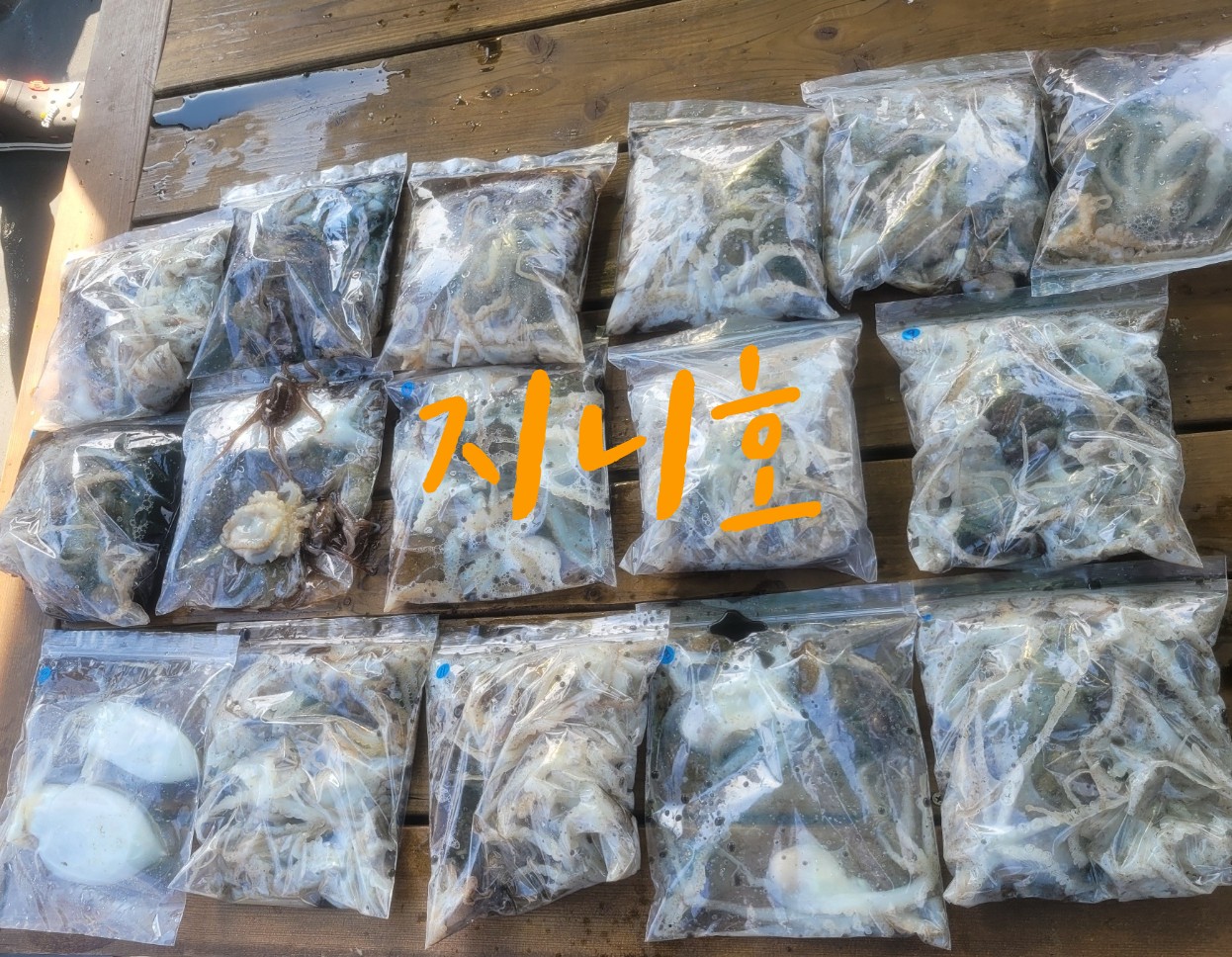 [지니호] 9월 9일 조황 (쭈갑출조)