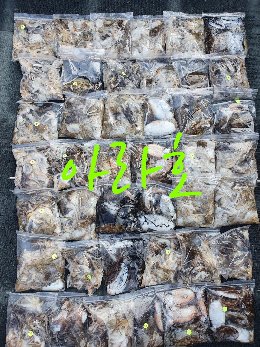 [아라호] 9월 16일 조황 (쭈갑출조)