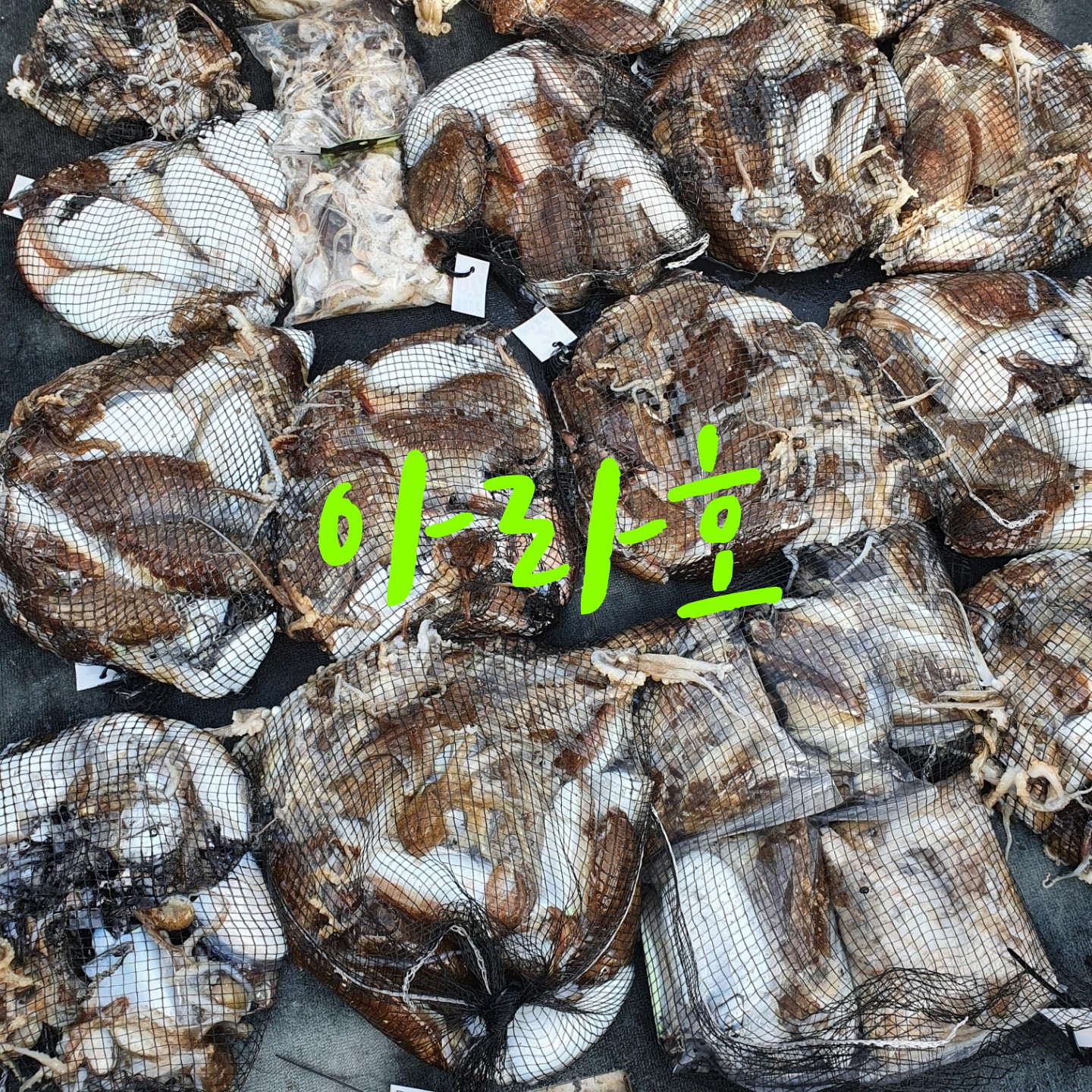 [아라호] 9월 22일 조황 (쭈갑출조)