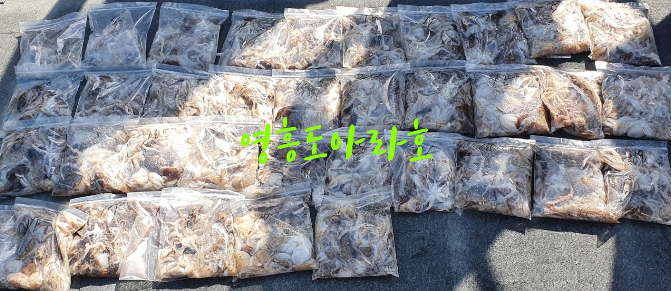 [아라호] 9월 2일 주꾸미출조 조황