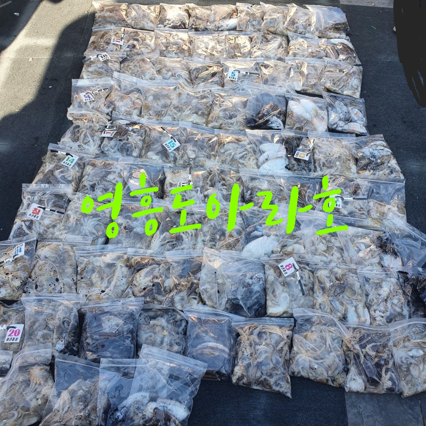 [아라호] 9월 18일 쭈갑 출조조황