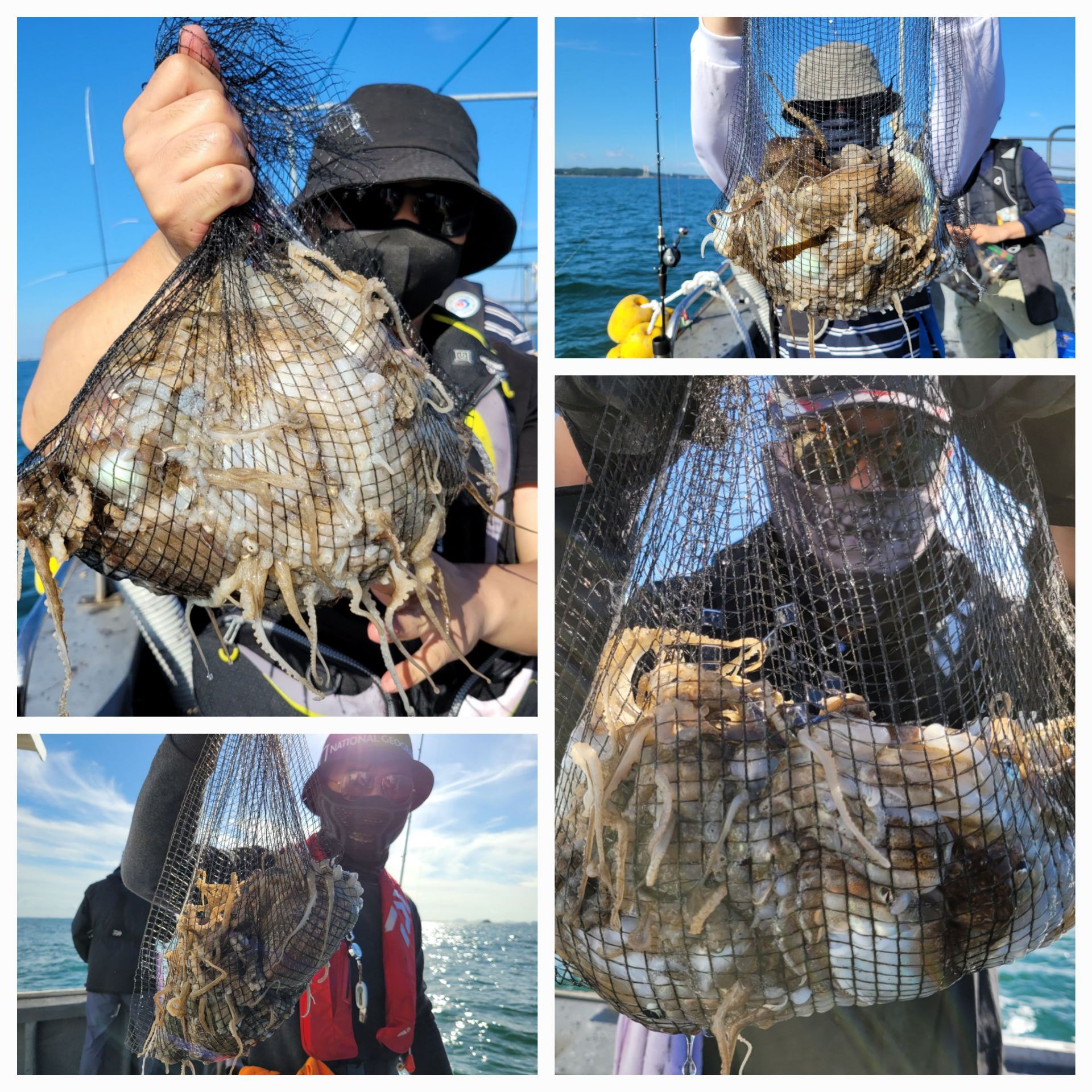 [12인승지니호] 9월 24일 조황 (쭈갑출조)