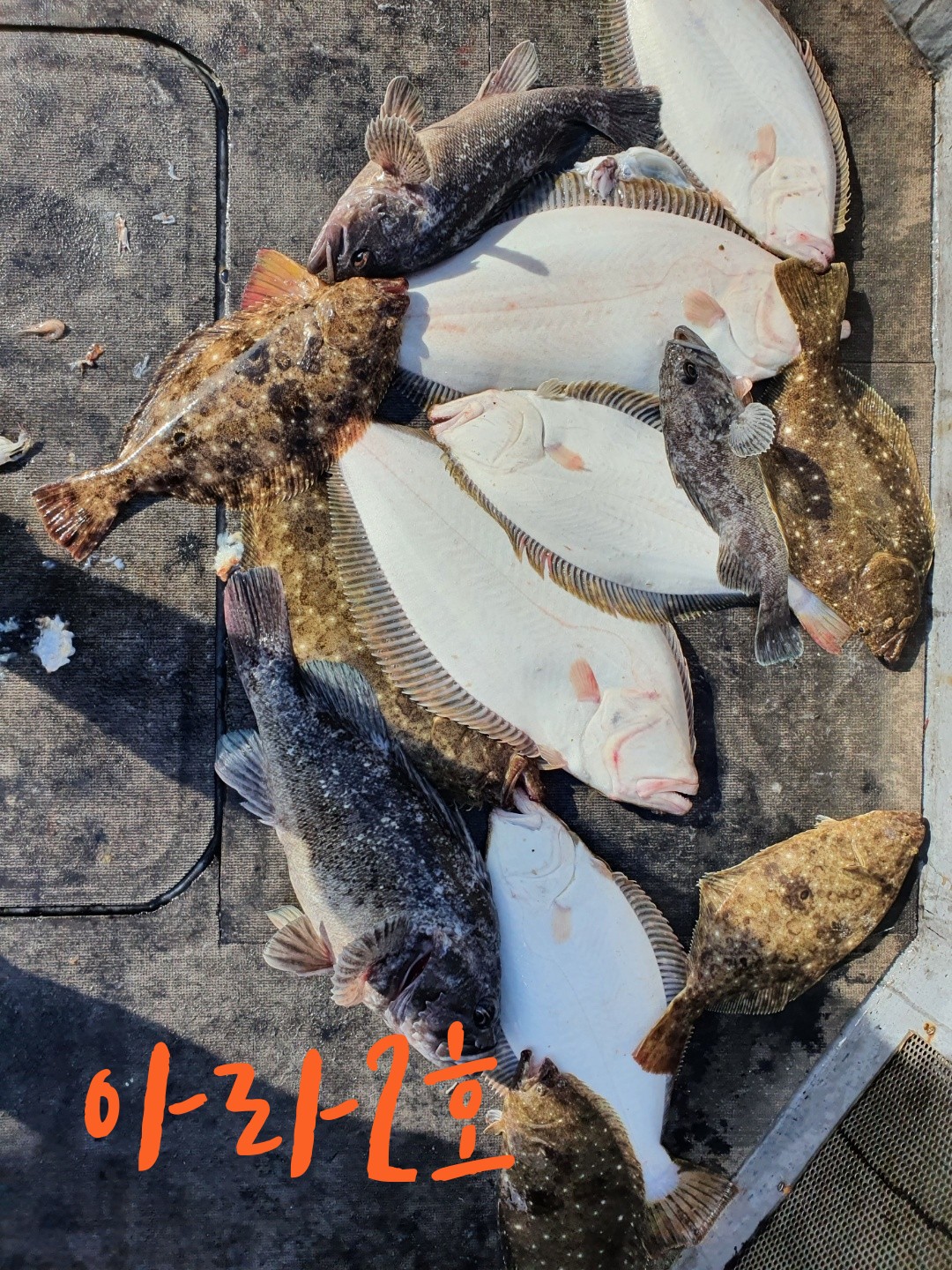 [아라2호] 9월 24일 외수질독선조황