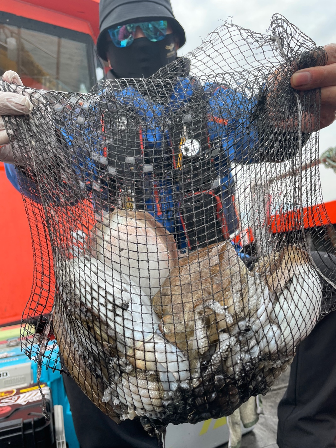 [아라2호] 10월 31일 조황