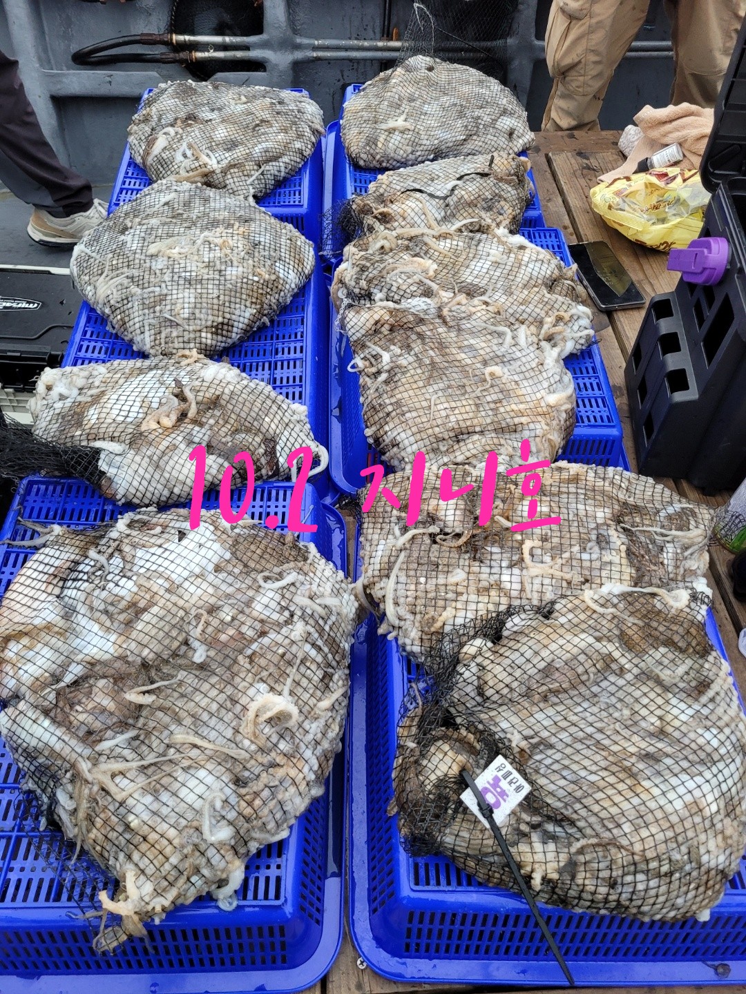 [지니호] 10월 2일 조황