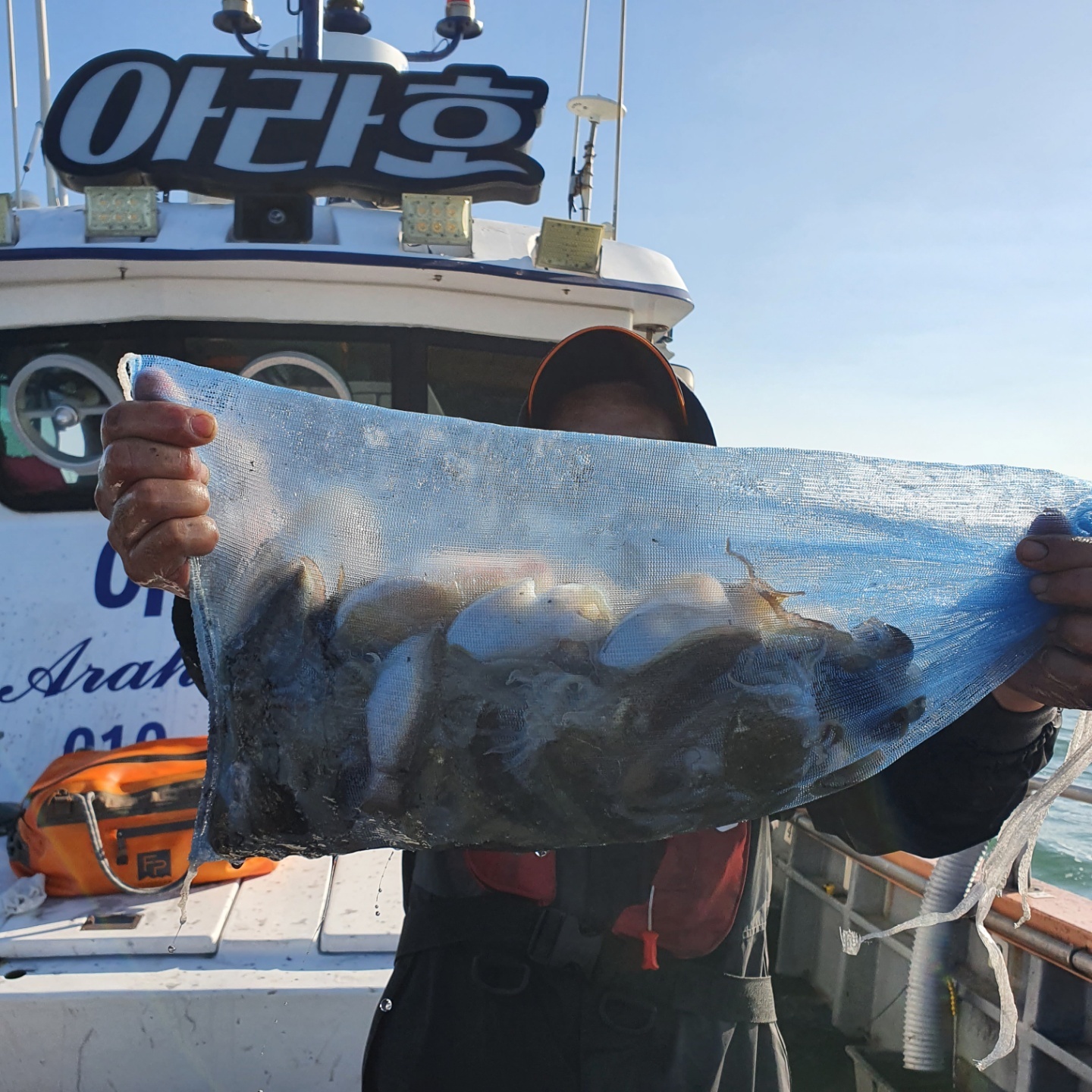 [아라호] 10월 11일 조황