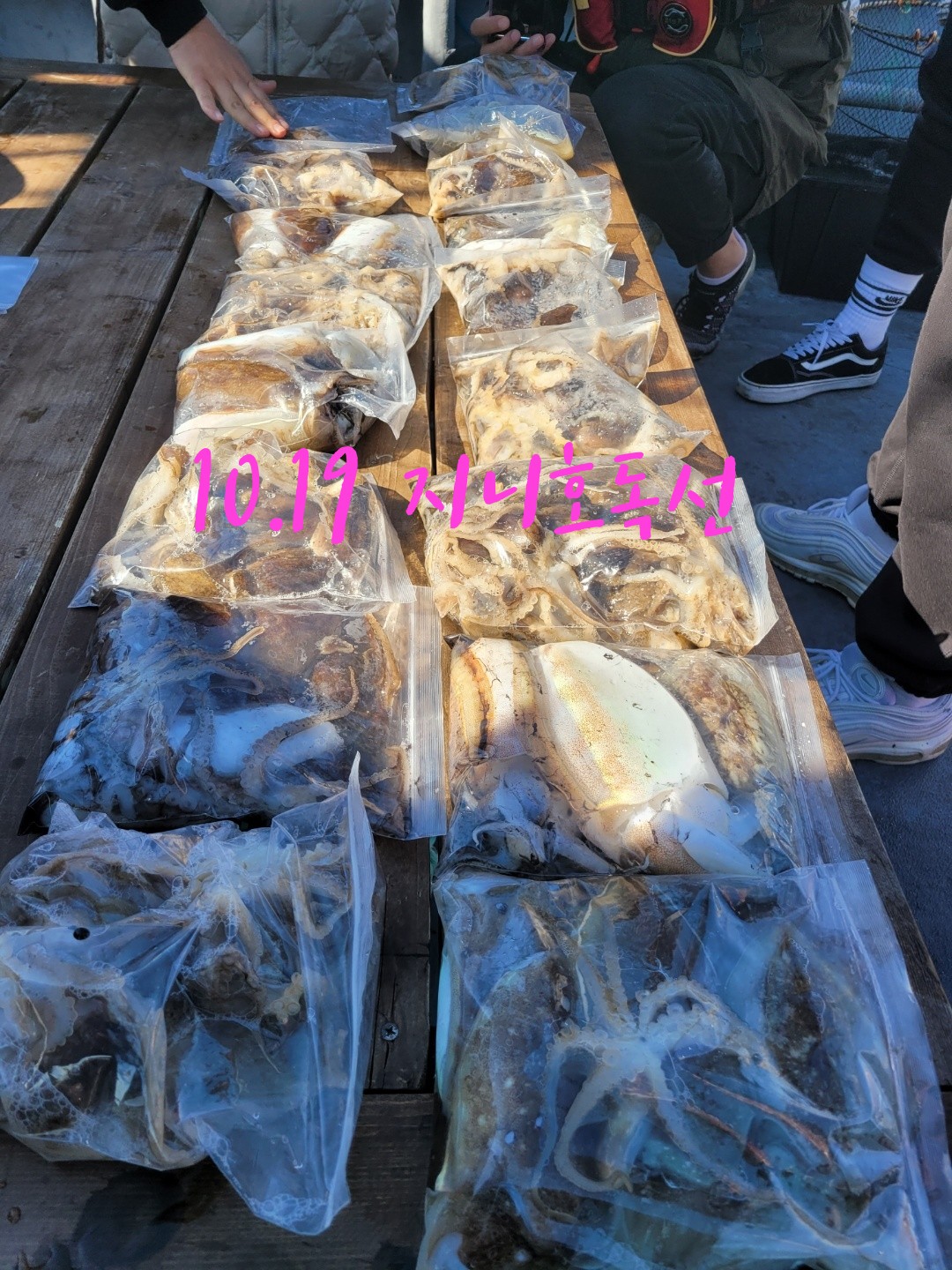 [지니호] 10월 19일 조황 (11인독선)