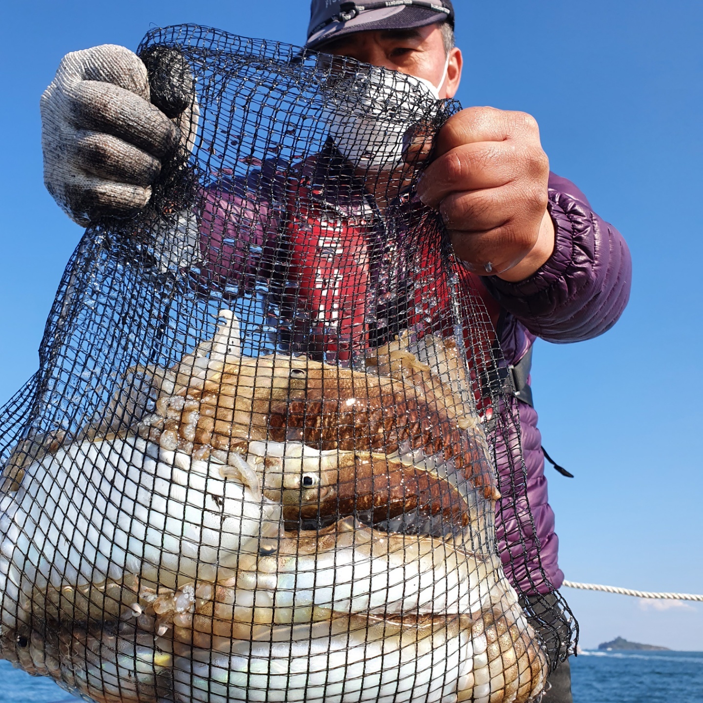 [아라호] 10월 8일  조황