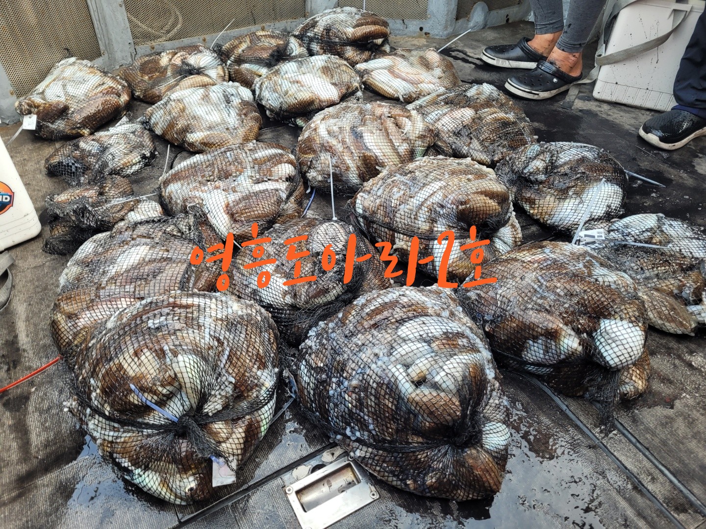 [아라2호] 10월 1일 조황