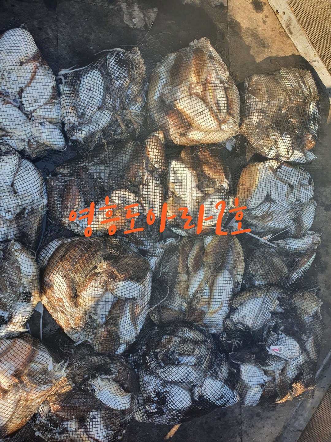 [아라2호] 10월 12일 조황