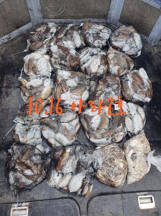 [아라2호] 10월 16일 조황