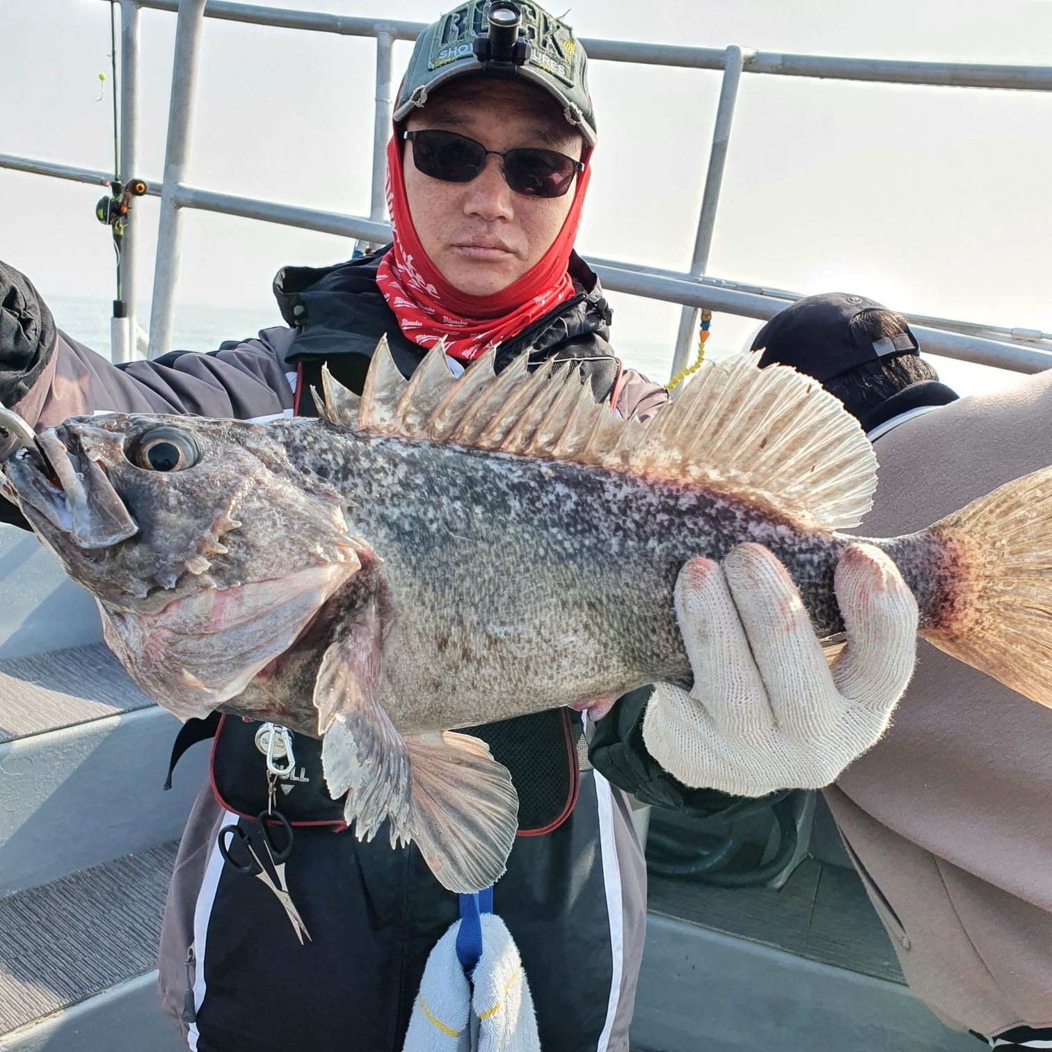 [아라호] 4월 1일 조황