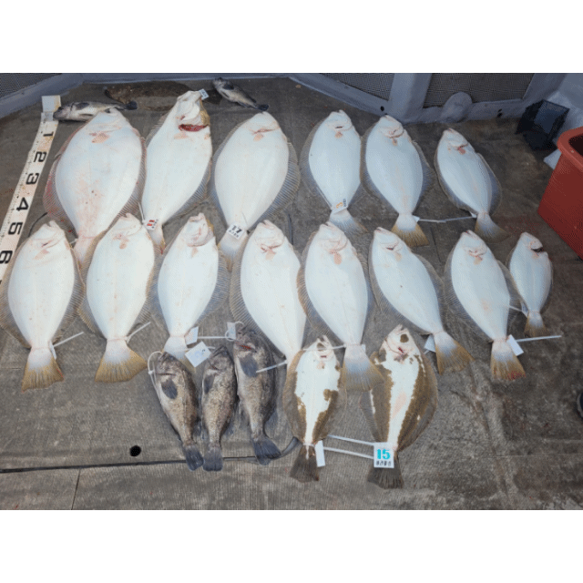 [아라2호] 4월 30일 조황