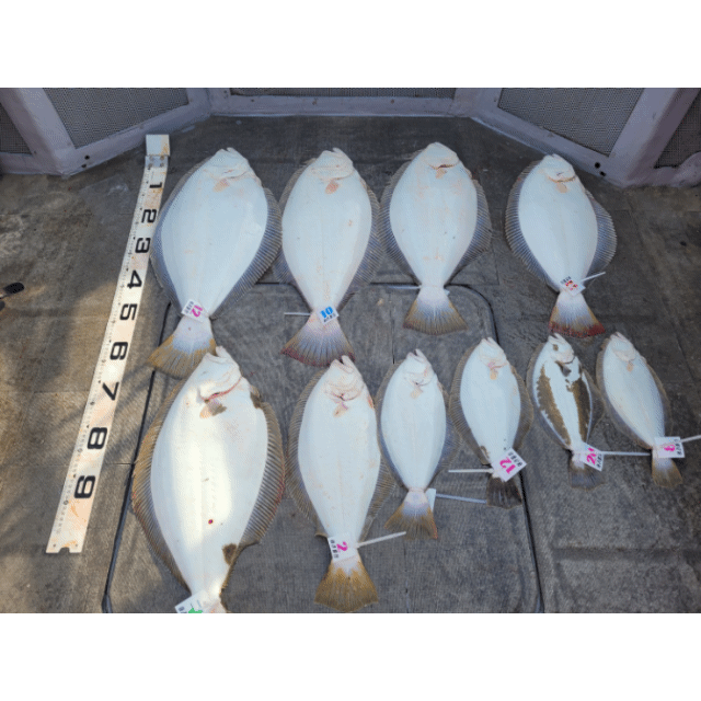 [아라2호] 5월 2일 조황