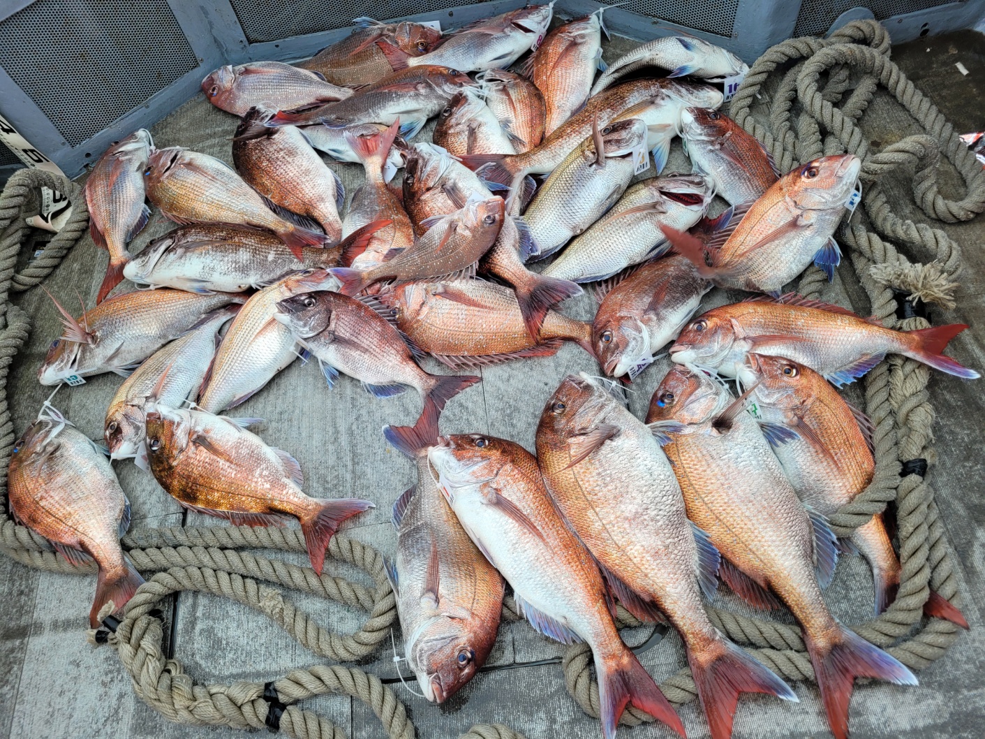 [아라2호] 5월 28일 조황