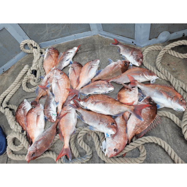 [아라2호] 5월 21일 조황