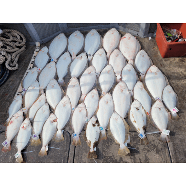 [아라2호] 5월 7일 조황