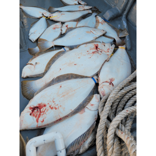 [아라3호] 5월 1일 조황