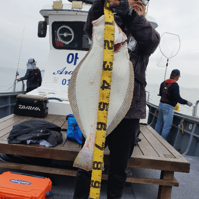 [아라호] 5월 24일 조황