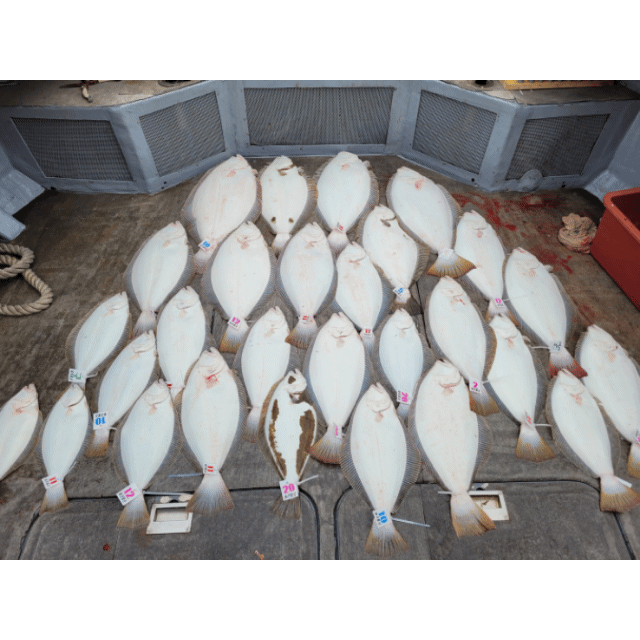 [아라2호] 5월 4일 조황