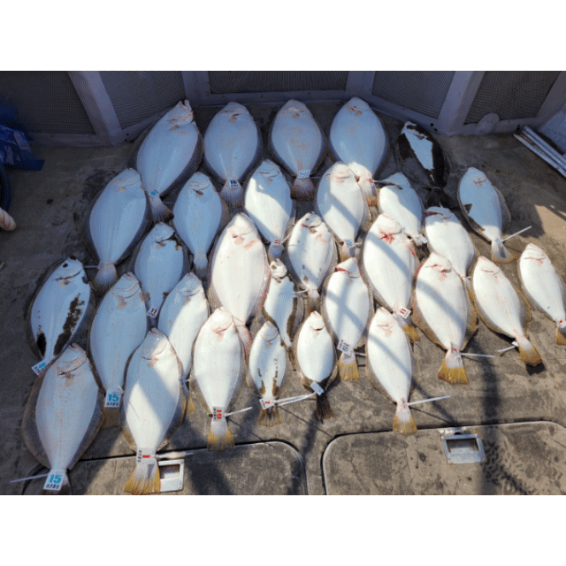 [아라2호] 5월 9일 조황