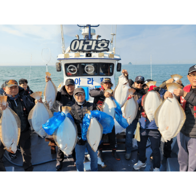 [아라호] 5월 12일 조황