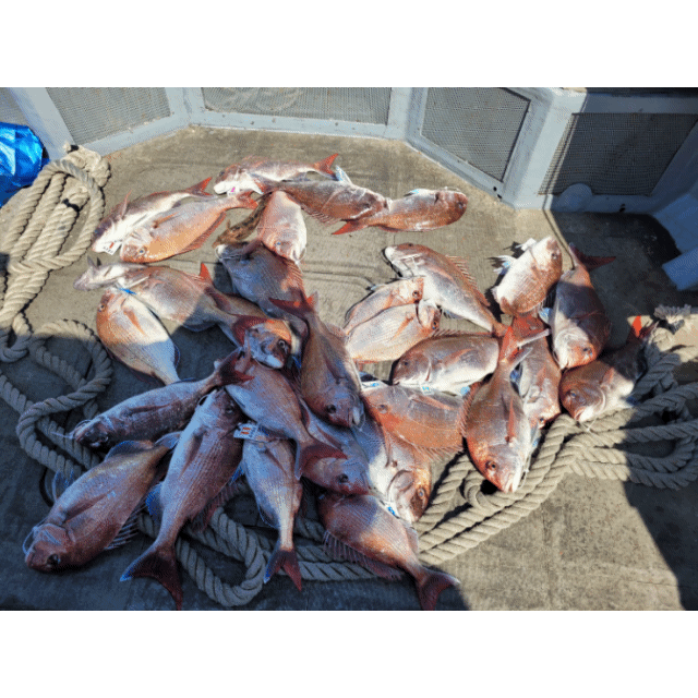 [아라2호] 5월 23일 조황