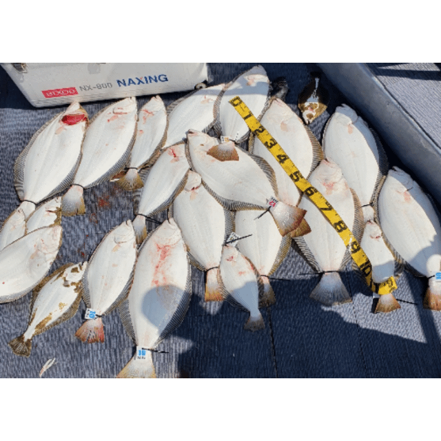 [아라호] 5월 20일 조황